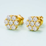 GL Hip Hop Earrings 925 Sterling Silver Moissanite Stud Earrings