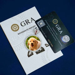 GL Custom photo pendant VVS Mossad split heart pendant