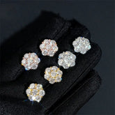 GL High Quality 925 Sterling Silver VVS Round Cut Moissanite Stud Earring