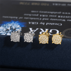 GL 925 Sterling Silver VVS Moissanite Stud Earrings