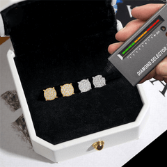 GL 925 Sterling Silver VVS Moissanite Stud Earrings