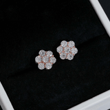 GL Hip Hop Earrings 925 Sterling Silver Moissanite Stud Earrings