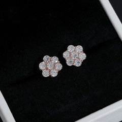 GL Hip Hop Earrings 925 Sterling Silver Moissanite Stud Earrings