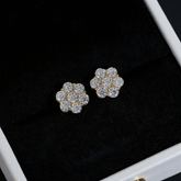 GL Hip Hop Earrings 925 Sterling Silver Moissanite Stud Earrings