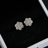 GL Hip Hop Earrings 925 Sterling Silver Moissanite Stud Earrings