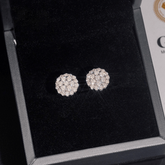 【US 3 Days Delivery】GL Fashion Round Cut VVS Diamond Moissanite Classic Silver Earrings