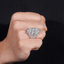 GL Iced $ Money Hip Hop Moissanite Ring