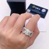 GL New Fashion Pass Diamond Tester Iced Out Hip Hop 925 Sterling Silver Moissanite Ring