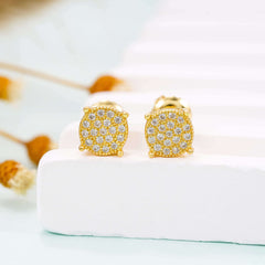 【US 3 Days Delivery】GL 925 Sterling Silver VVS Moissanite Stud Earrings