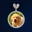 GL Custom photo pendant VVS Mossad split heart pendant