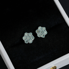 GL Hip Hop Earrings 925 Sterling Silver Moissanite Stud Earrings