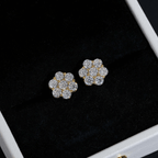 GL Hip Hop Earrings 925 Sterling Silver Moissanite Stud Earrings