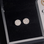 【US 3 Days Delivery】GL Fashion  Round Cut S925 Silver VVS Diamond Moissanite Classic Silver Earrings