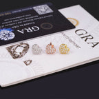 GL 10mm Heart Shaped 925 Silver Moissanite Earrings